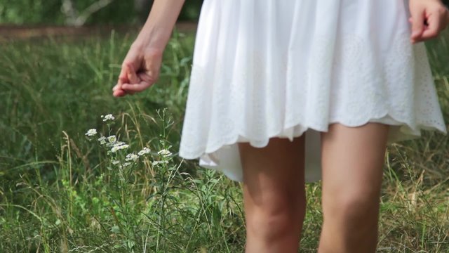 Little girl in a white dress walks in the field and touches the flowers
