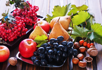 autumn fruits