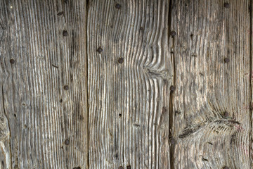 Obraz premium Wood grungy background