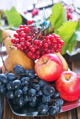 autumn fruits