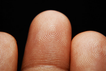 human finger and finger print
