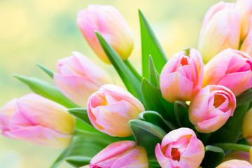 Spring flowers. Tulip bouquet on the bokeh background.