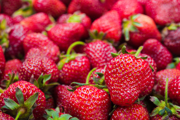 red fresh strawberry