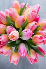 Tulip, flowers on the grey background.