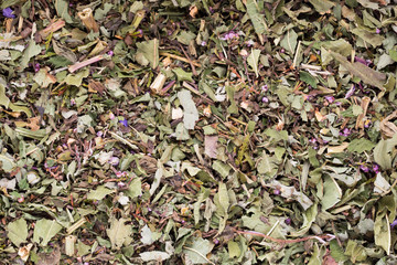 Herbal tea medicinal plants, homeopatic.