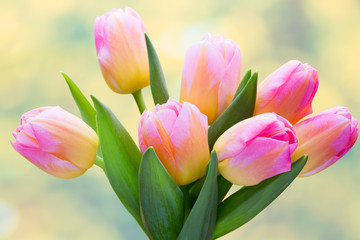 Obraz na płótnie Canvas Spring flowers. Tulip bouquet on the bokeh background.