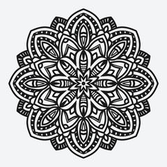 floral ornament. circular pattern