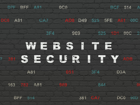 Protection concept: Website Security on wall background