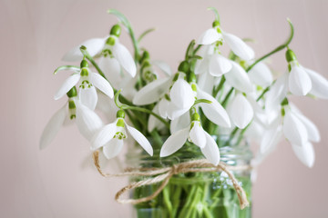 Beautiful snowdrops flowers in small glass decorative vase.Spring background