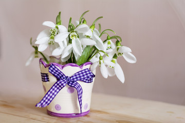 Beautiful snowdrops flowers in small decorative vase.Spring background