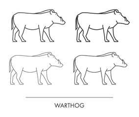 Vector outline warthog on a white background.