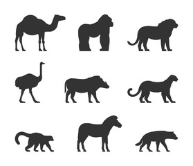 Vector black set of silhouettes african animals. Figure dromedary, gorilla and lion. Icon ostrich, warthog and leopard. Silhouette zebra, lemur and hyena. Figure african animals isolated.