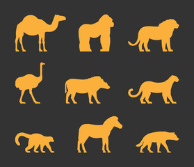 Vector gold set of silhouettes african animals. Icon dromedary, gorilla and lion. Figure ostrich, warthog and leopard. Symbol zebra, lemur and hyena. Silhouette african animals isolated.