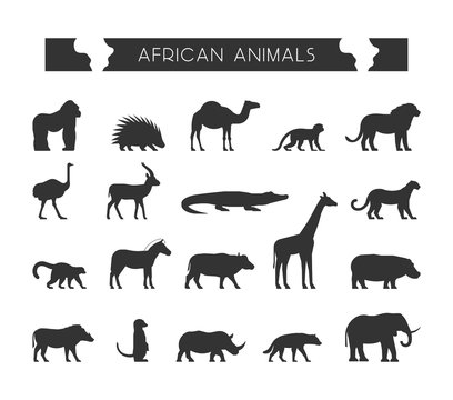 Vector black silhouettes of African animals.