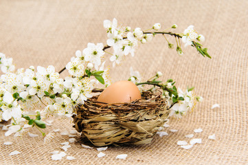 Easter eggs with flowers on burlap 