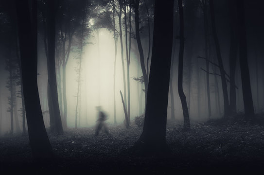 ghostly figure in dark spooky forest halloween scene © andreiuc88
