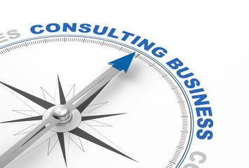 Consulting Business