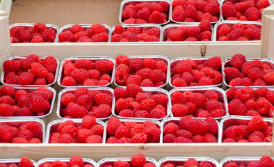 Fresh raspberries in boxes far sale
