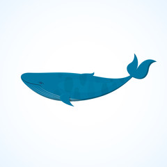 Big blue whale, vector illustration