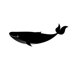 Black and white big whale, vector illustration