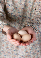 Fresh organic eggs on the hands of little girl. Selective focus.