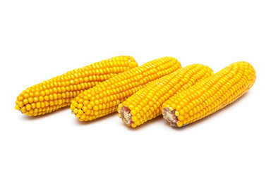 Four ear of corn on a white background