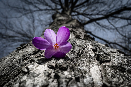 Spring is here #2
