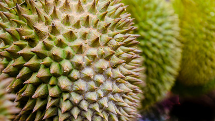 Durian