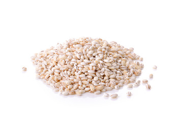 Barley Grains  on white background