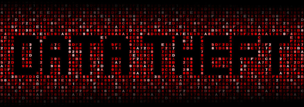Data Theft text on hex code illustration