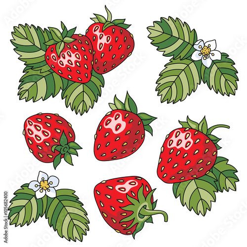 "Strawberry" Stock image and royalty-free vector files on Fotolia.com