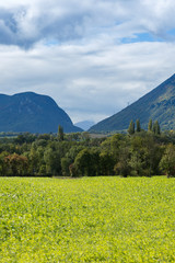 Fototapeta na wymiar summer landscape, the Jura France. Ain region on the border with Geneva.