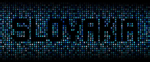 Slovakia text on hex code illustration