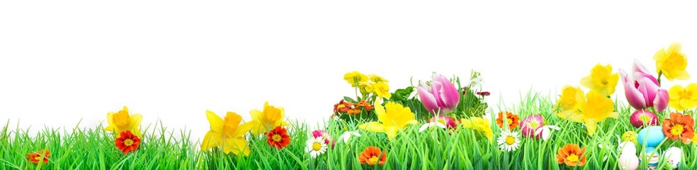Fototapeta premium Easter, Flower Meadow, isolated, Banner 