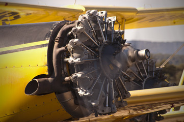 Grumann h&eacute;lice