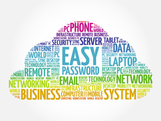 Obraz premium Easy Password word cloud concept