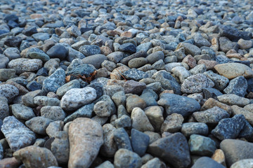 gravel dept of fail