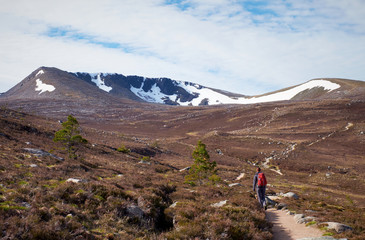 Cairngorms, Scottish Highlands.