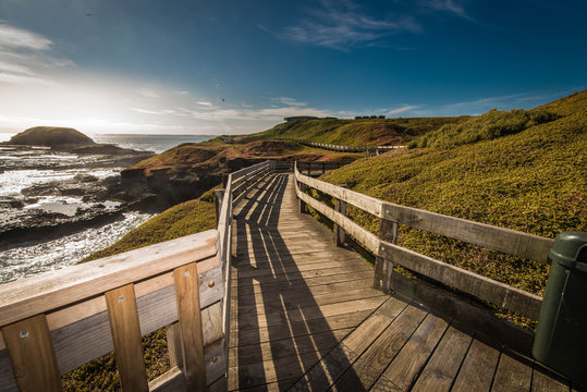 Phillip Island, Australia