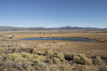 Obraz premium Estepa con lago, Utah, USA