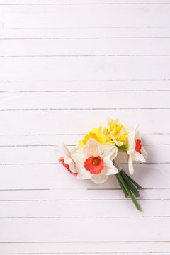 Yellow and pink narcissus flowers  on white  painted wooden plan