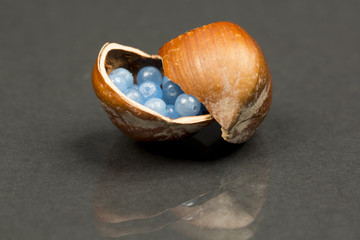 Hazelnut shell with small gemstones