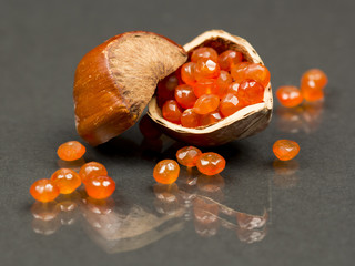 Hazelnut shell with carnelian faceted gems