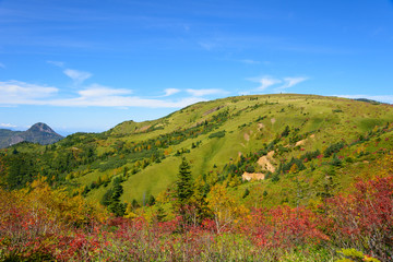 Naklejka na ściany i meble Shibu pass in autumn in Gunma and Nagano, Japan