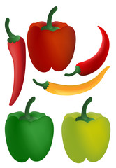  chilli and Bell pepper vector design set