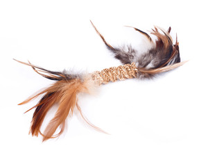 Colorful cat toy separated on white background