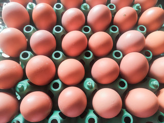 close up top of Eggs from chicken in the package