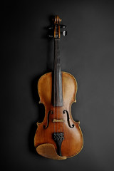 Fototapeta na wymiar Violin (fiddle) front view isolated on white background with clipping path. String instrument of the violin family.