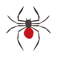 Spider illustration. Black Widow.