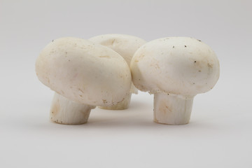 Three whole mushrooms isolated on white